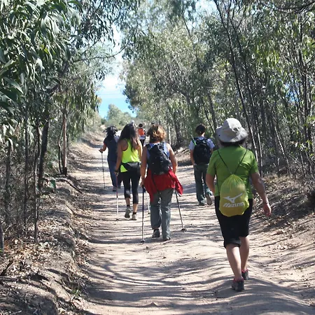 Bed & Breakfast La Conchiglia 3*