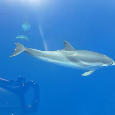 Bed & Breakfast La Conchiglia