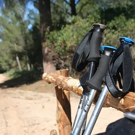 Bed & Breakfast La Conchiglia 3*