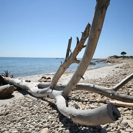 Bed & Breakfast La Conchiglia Cala Liberotto