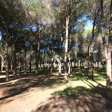 Bed & Breakfast La Conchiglia 3*