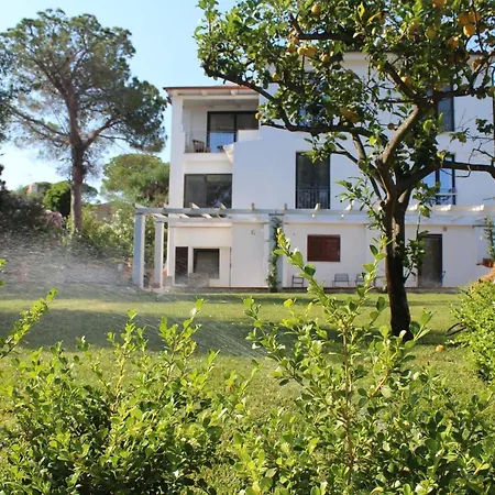 La Conchiglia 3*