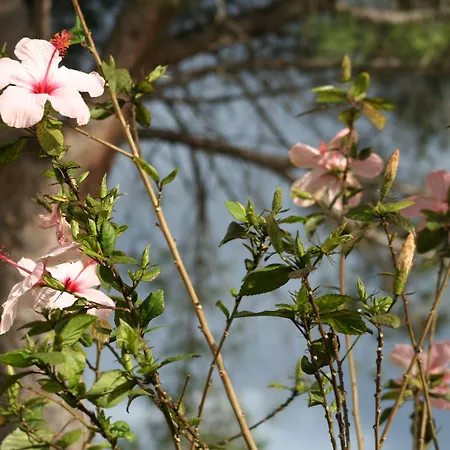 La Conchiglia 3* Cala Liberotto