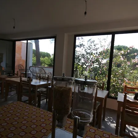 La Conchiglia 3*