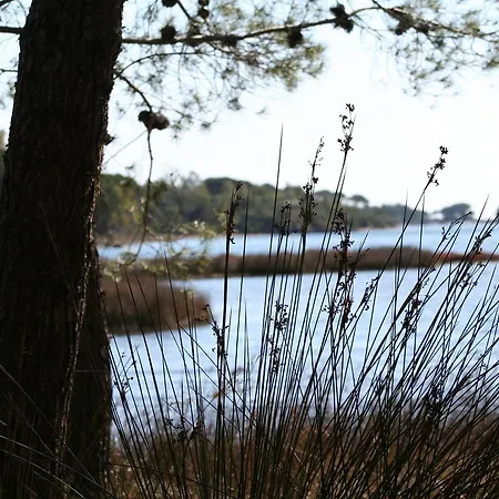 Couette-café La Conchiglia