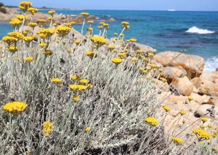La Conchiglia Panzió 3*